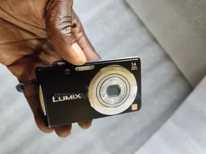 Panasonic Digital Photo Video Camera for Vintage Passport Snapping