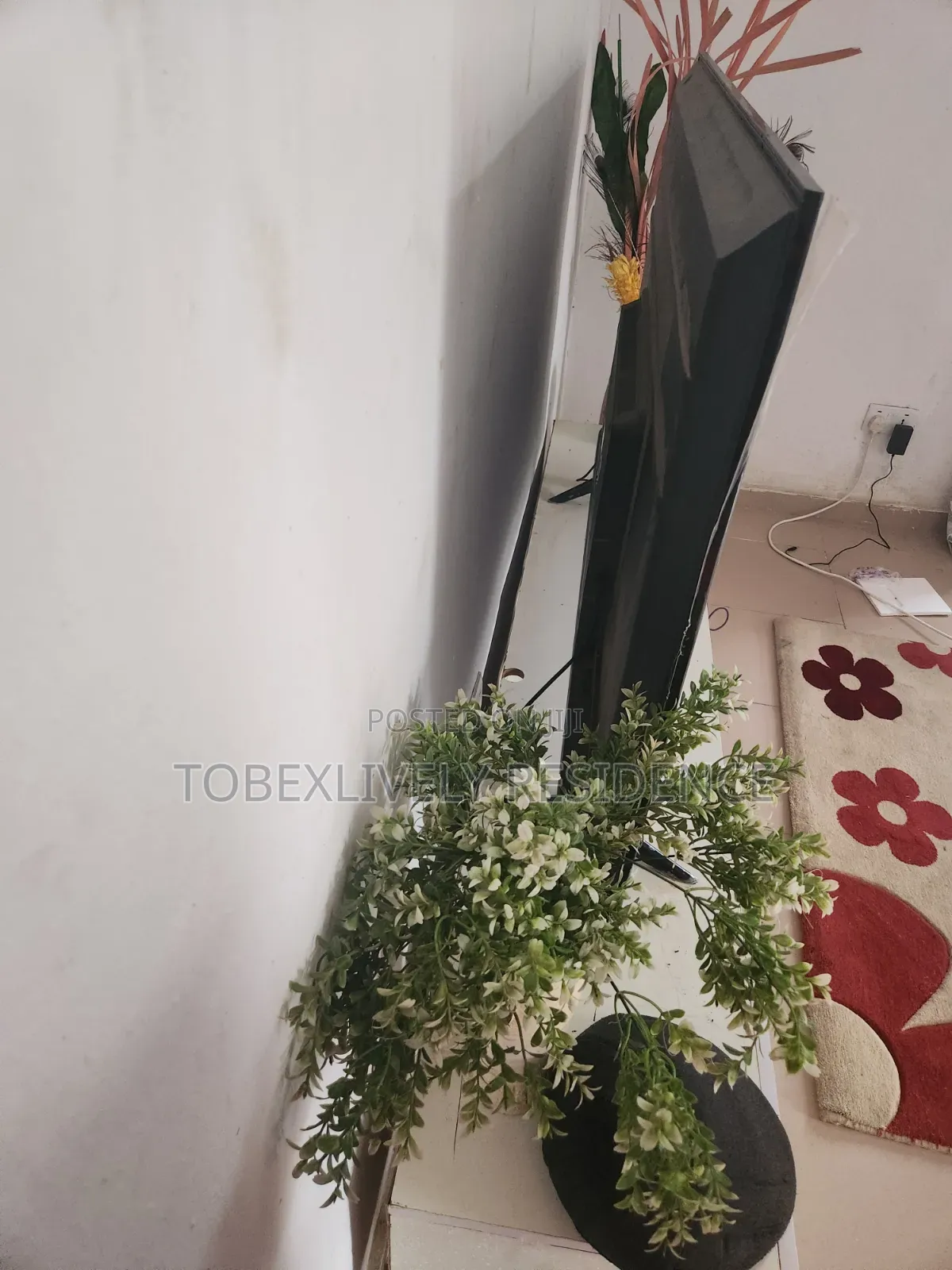 65" Maxi Smart TV
