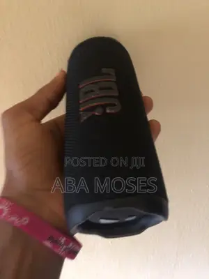JBL Flip 6