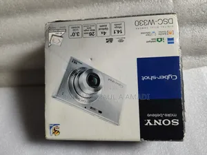 SONY Digital Photo Video Camera for Vintage Passport Snapping