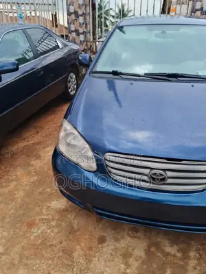 Toyota Corolla 2007 Blue