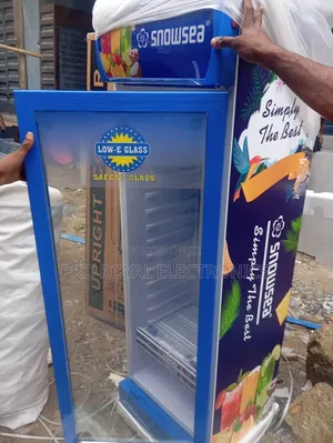 300 Liters Snowsea Fridge