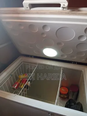 Haier Thermocool Freezer