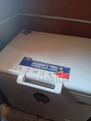Haier Thermocool Freezer