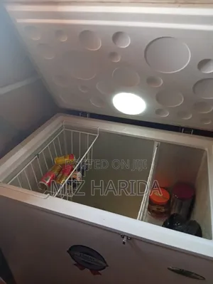 Haier Thermocool Freezer