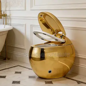 A Luxury Toilet With a Highly Reflective Gold Metallic Finish.