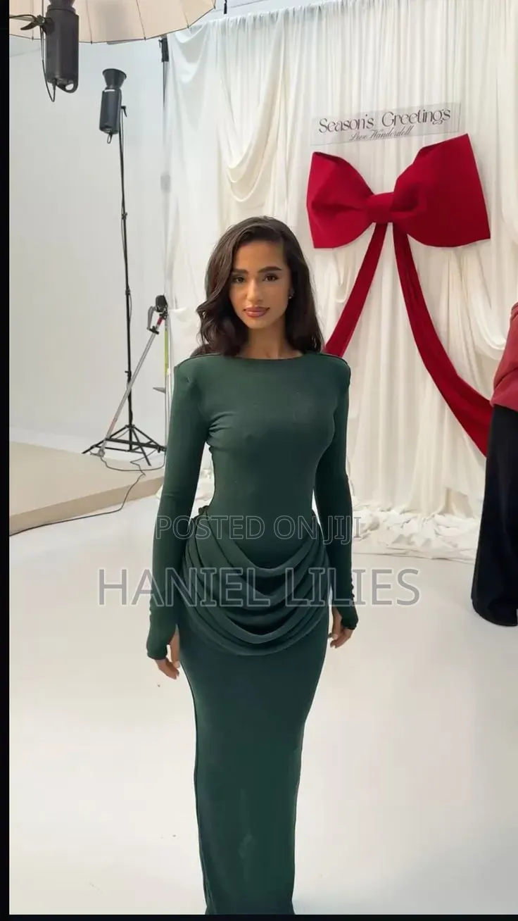 Mesh Dinner Gown