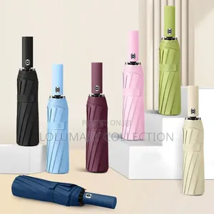 Windproof Compact Folding Automatic Umbrella