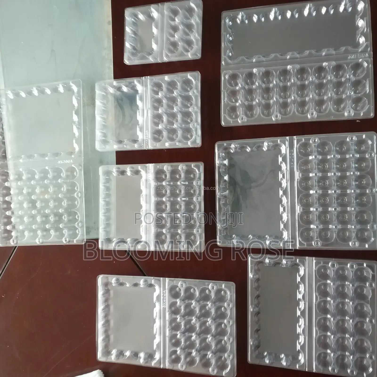 Empty Quail Egg Crate