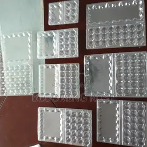 Empty Quail Egg Crate