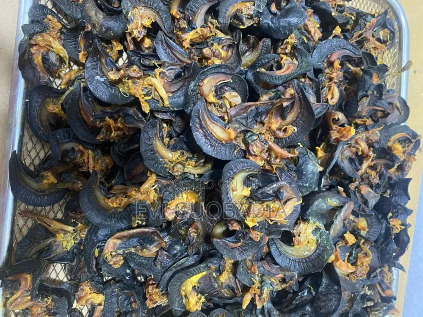 Dried Snail
