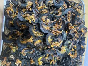 Dried Snail