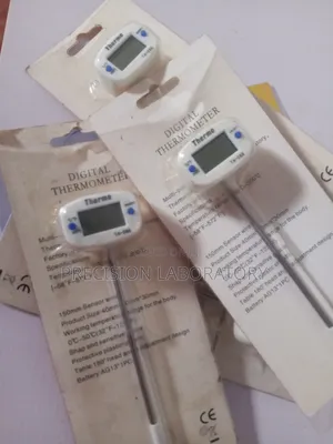 Digital Thermometer (0 to 300 Degrees)