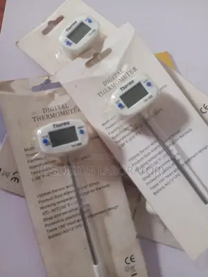 Digital Thermometer (0 to 300 Degrees)