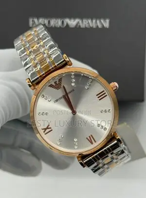 Emporio and Armani Quality Luxury Female Stainless Steel Wristwatch