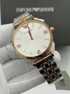 Emporio and Armani Quality Luxury Female Stainless Steel Wristwatch