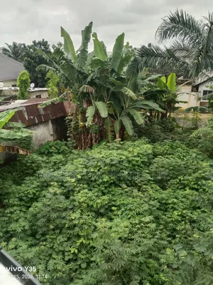 Buy and Build One Plot of Land