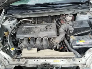 Toyota Corolla 2004 Gray