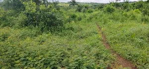 Land for Sale. Destress Sales
