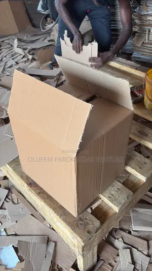 Carton and Printing