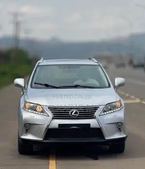 Lexus RX 2010 Silver