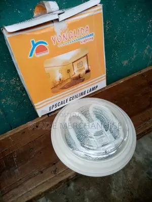 Led Ceiling Lamp Fitting CFL