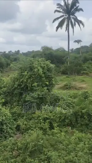 526 Square/Meter Land for Sale in Agu Awka( Awka