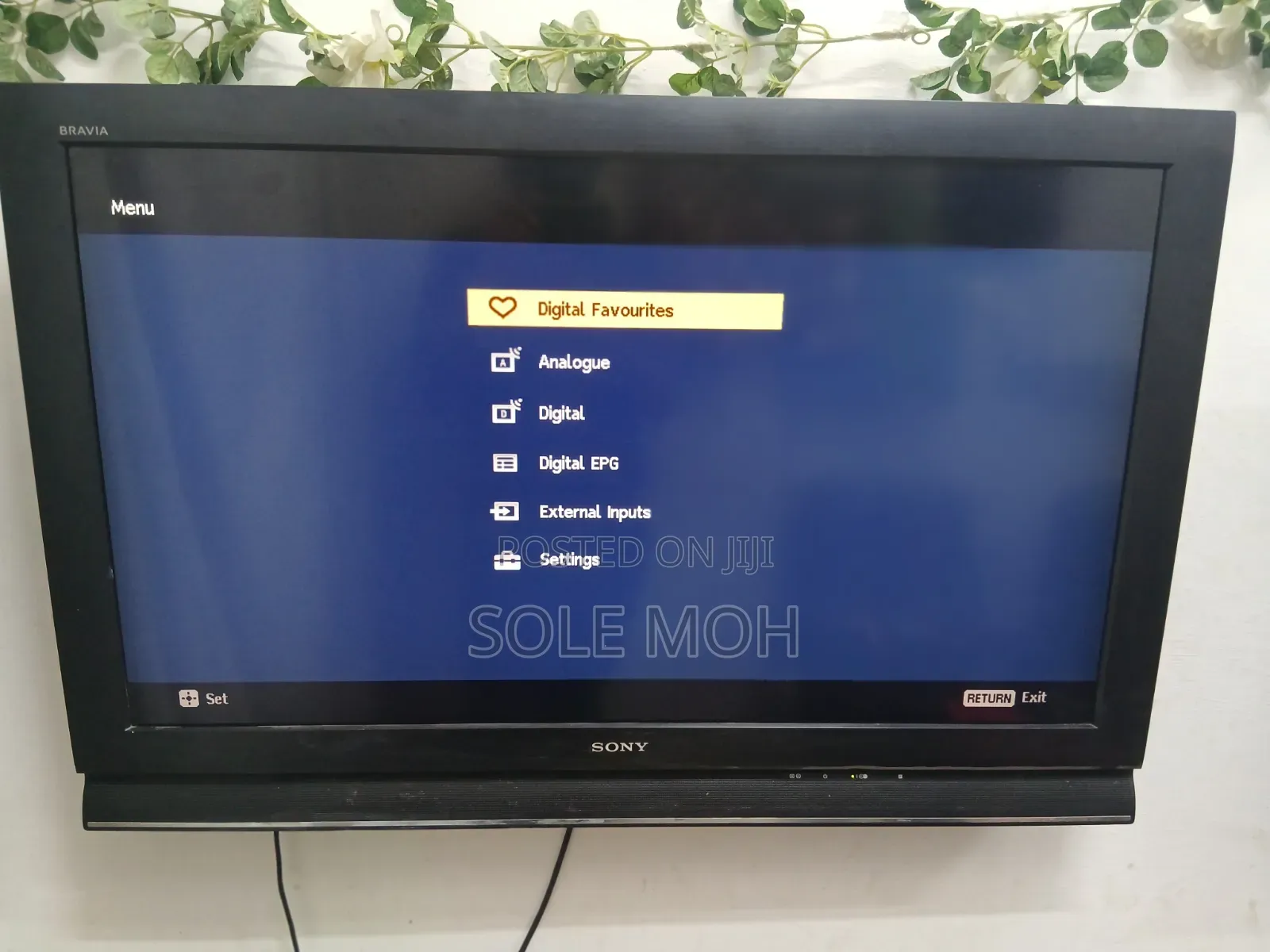 Television