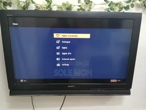 Television