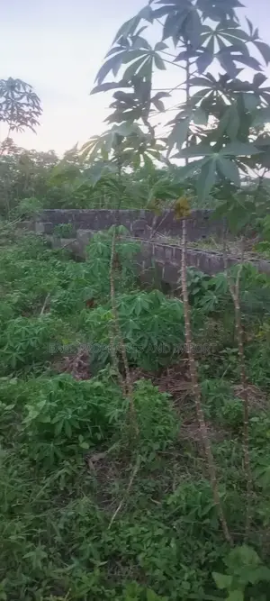 2 Plots of Land With 4 Bedroom Flat Laid Foundation