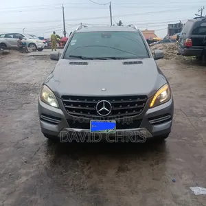 Mercedes-Benz M Class 2013 Gray