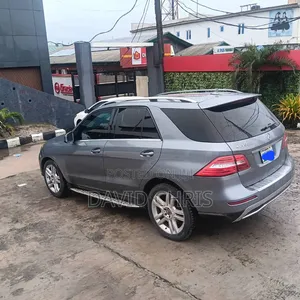 Mercedes-Benz M Class 2013 Gray