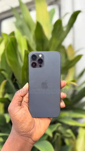 Apple iPhone 12 Pro Max 128 GB Gray