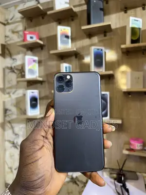 Apple iPhone 11 Pro Max 256 GB Gray