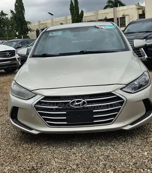Hyundai Elantra 2017 Pink