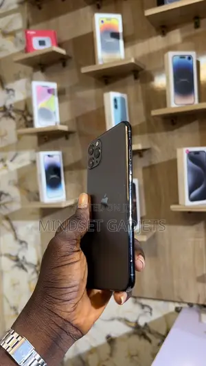 Apple iPhone 11 Pro Max 256 GB Gray