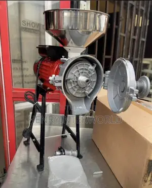 Wet and Dry Grinder