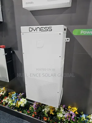 16kw Dyness Lithium Batteries
