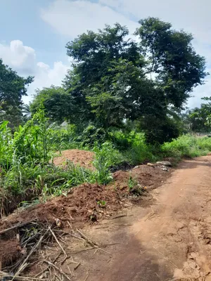 Lands for Sale