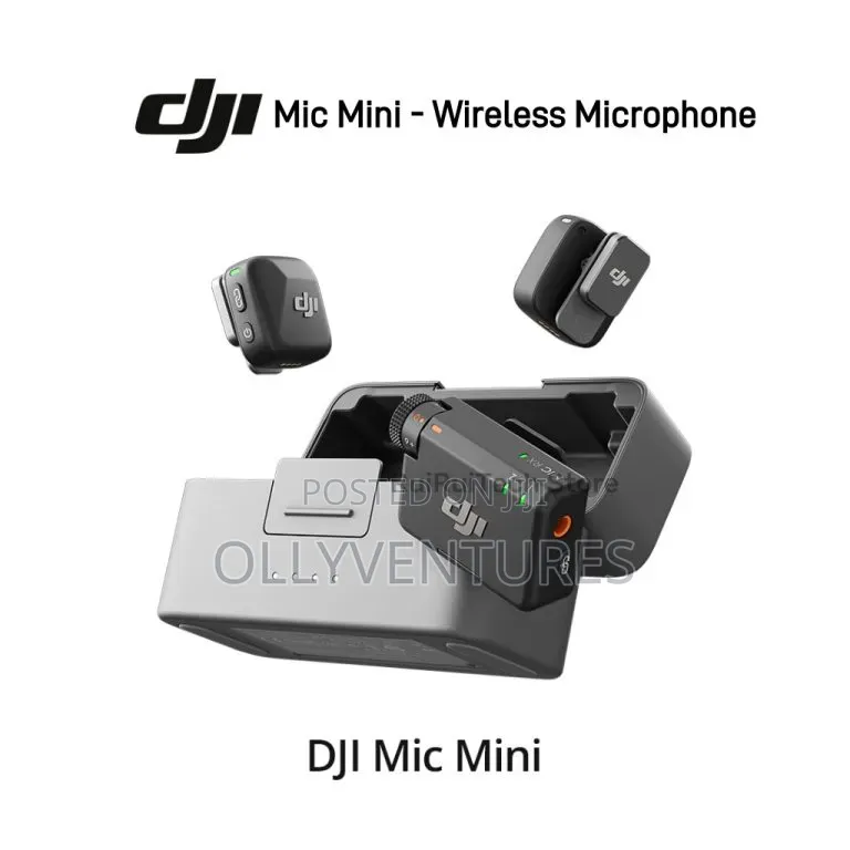 Dj Mic Mini