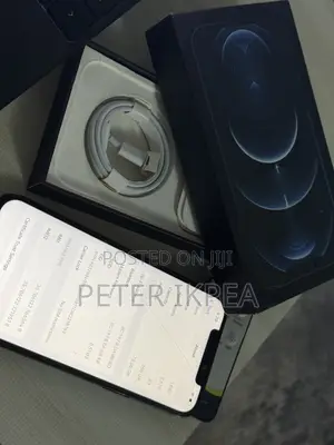 Apple iPhone 12 Pro Max 256 GB Blue