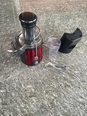 Linsan Pro Fruit Juicer