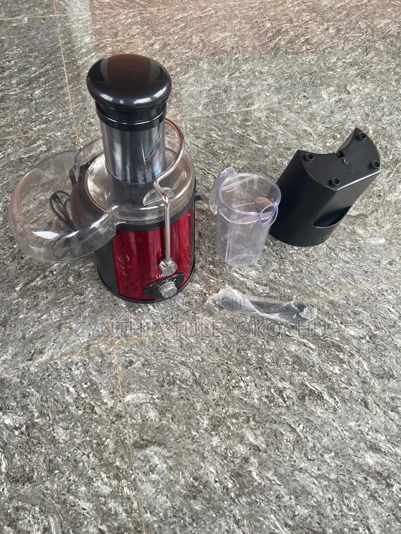 Linsan Pro Fruit Juicer
