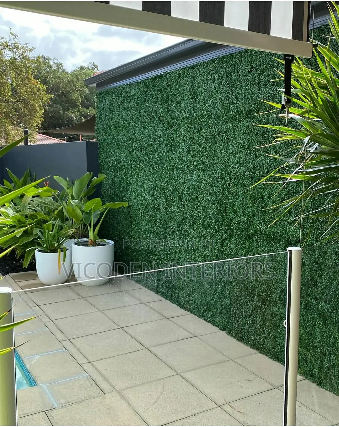 Wall Hedge