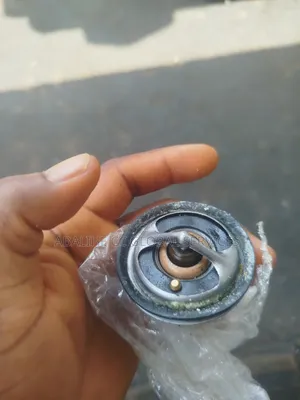 Ford Thermostat