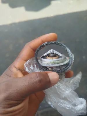 Ford Thermostat
