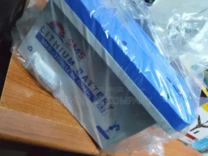 1.3KWh 12V SMS Lithium Battery Available Now