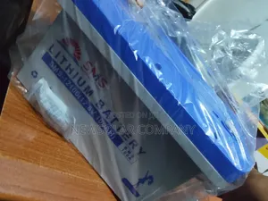 1.3KWh 12V SMS Lithium Battery Available Now