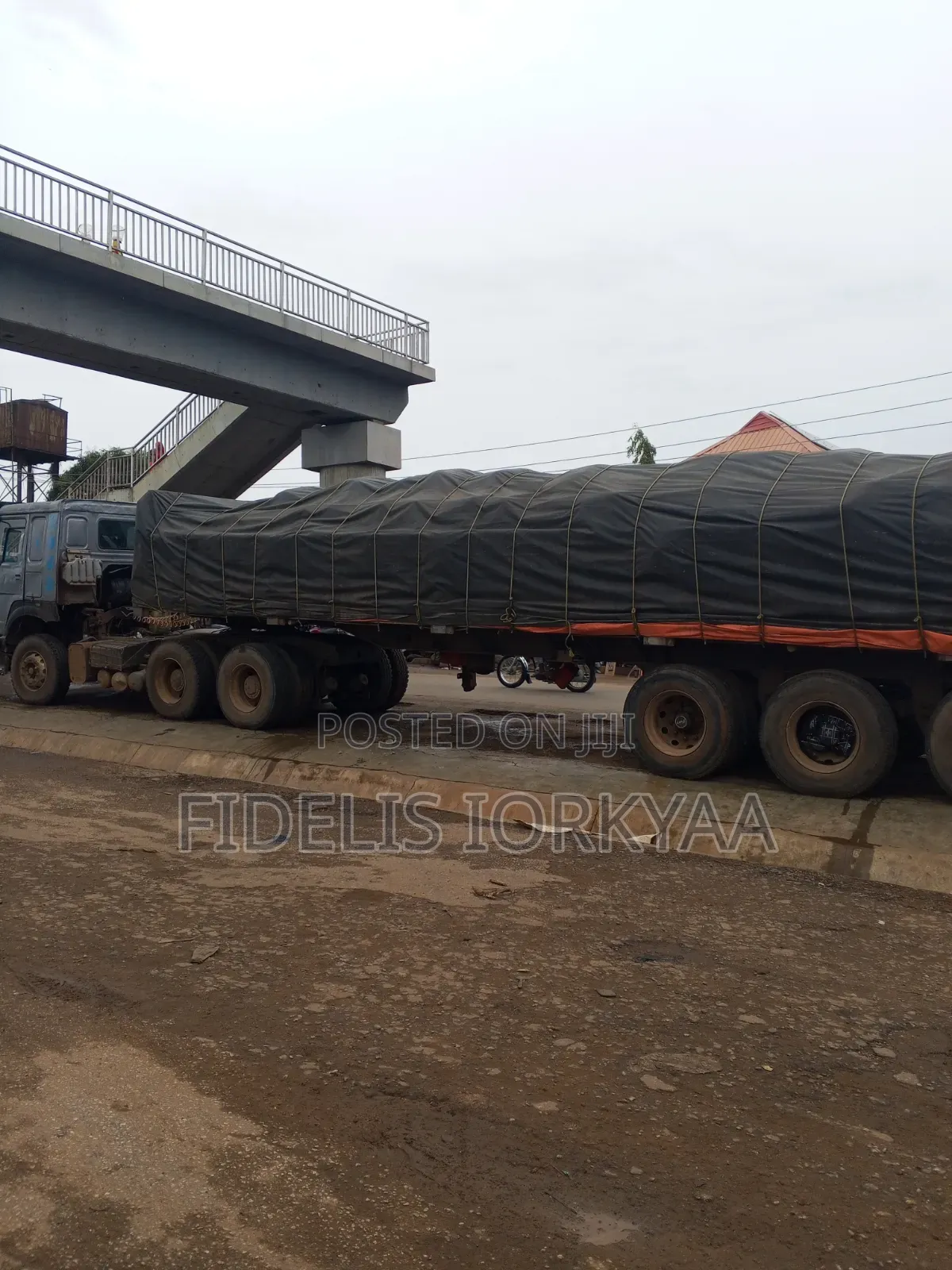 50kg Dangote Cement