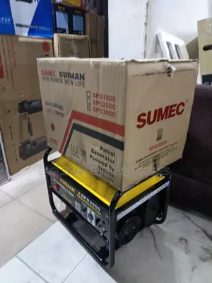 Original Sumec Firman SPG3000 SFE200 Engine Gen